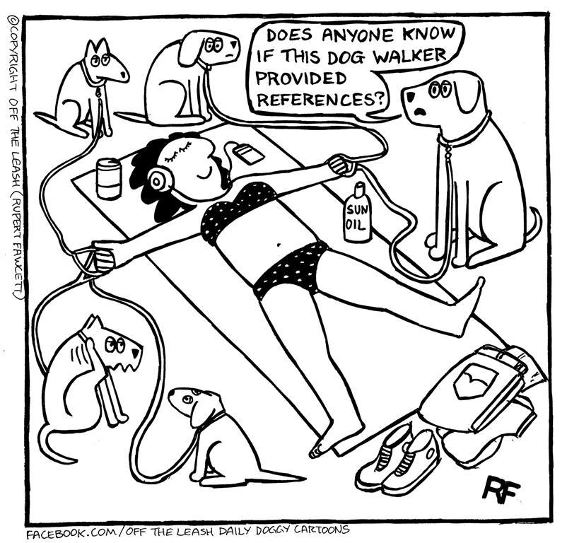 Dog walker